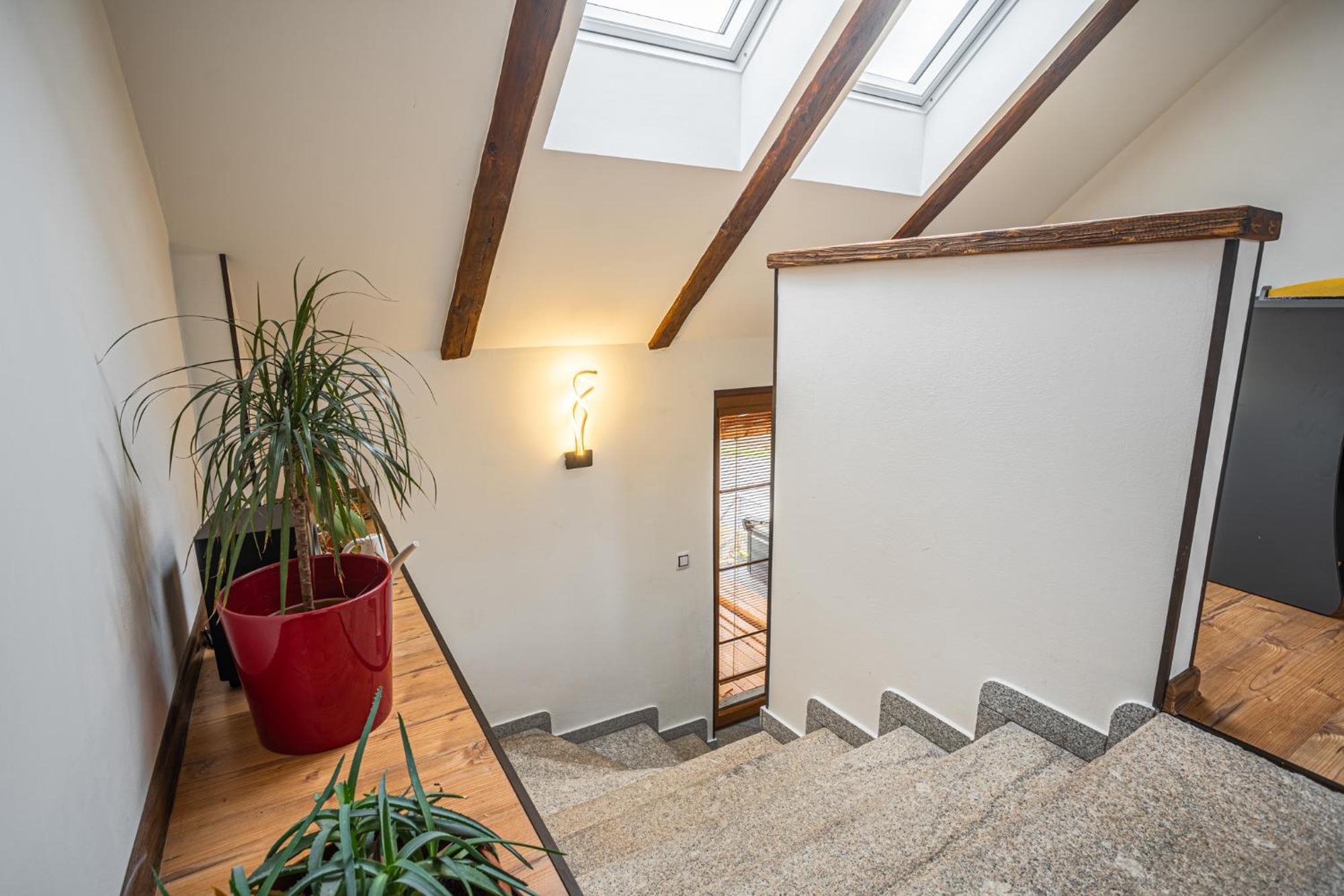 Elements & Renata Apartment